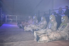 img_00033