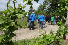 Maiwanderung 2016