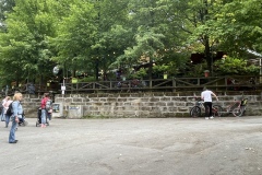 IMG_7161_live