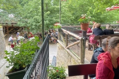 IMG_7174_live