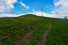 DSC_0100-01